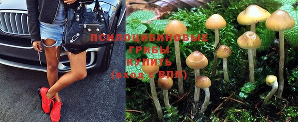 apvp Абаза
