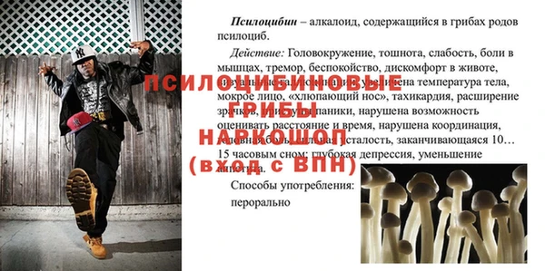apvp Абаза