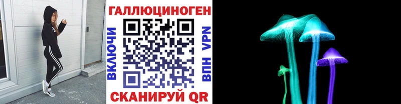 Псилоцибиновые грибы прущие грибы  Хасавюрт 