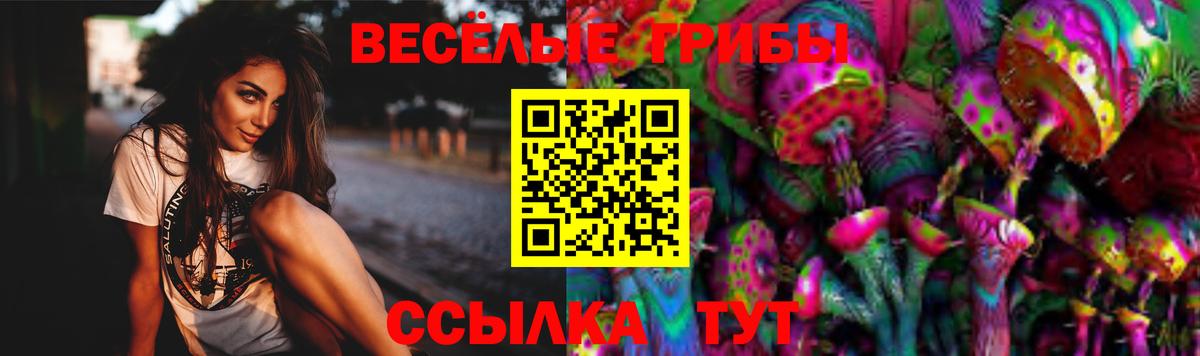 Галлюциногенные грибы GOLDEN TEACHER Хасавюрт